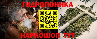 Альфа ПВП Сланцы