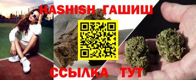 МДПВ Славгород