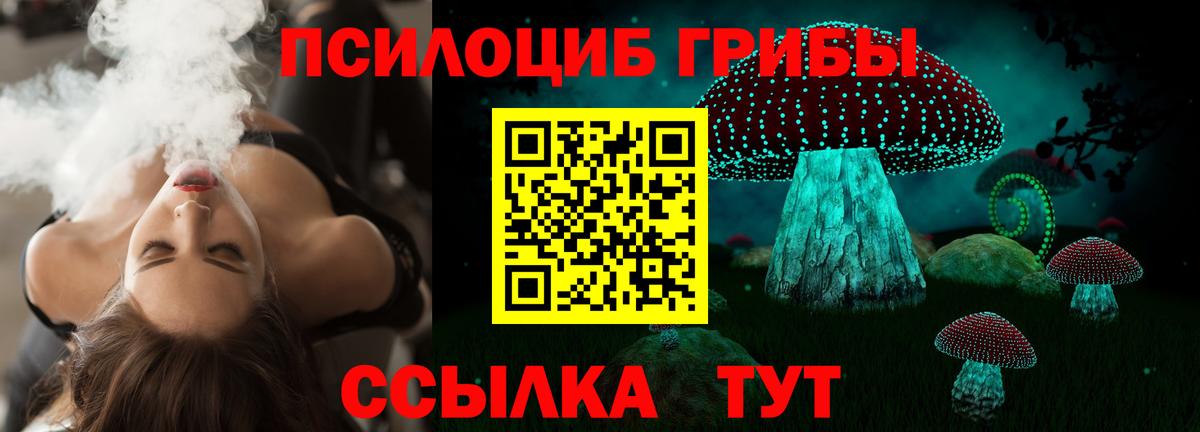 Прокопьевск  Псилоцибиновые грибы Psilocybe  Вход с VPN  Галлюциногенные грибы ЛСД 